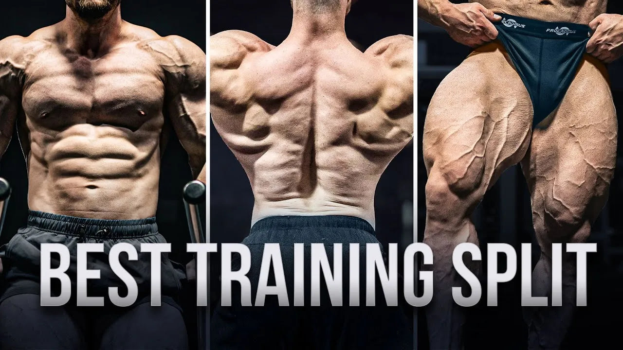 Muscle Split The Perfect Workout Split for Fat Loss & Lean Muscle – BalancedFitnessGear
